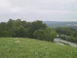 panorama